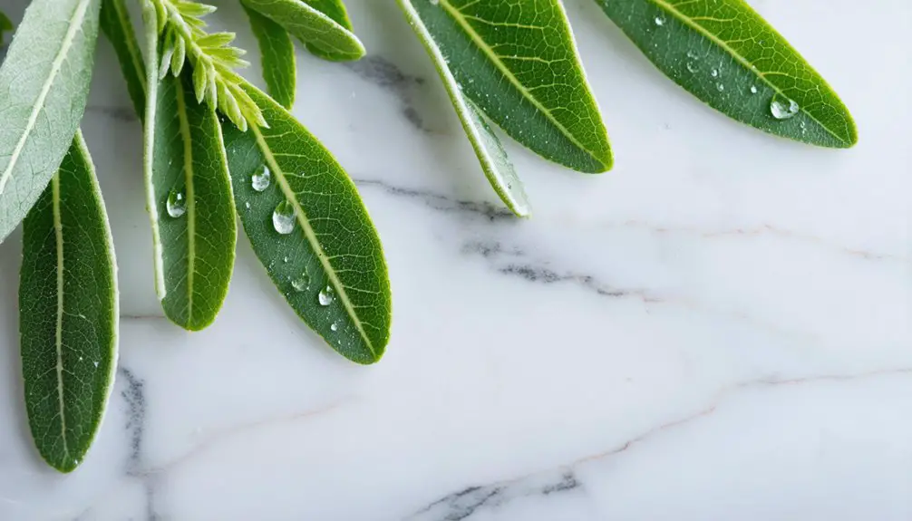 sage enhances gum health